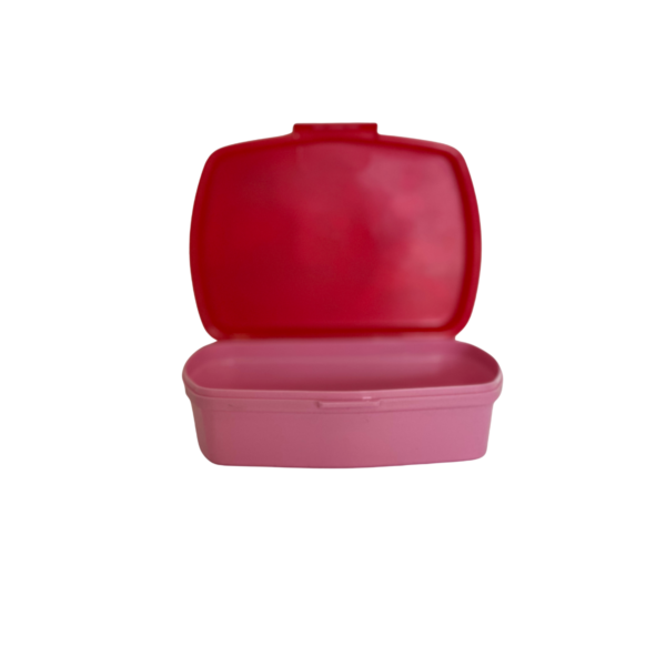 Caixa de Lanche Hello Kitty and Friends – Sanrio