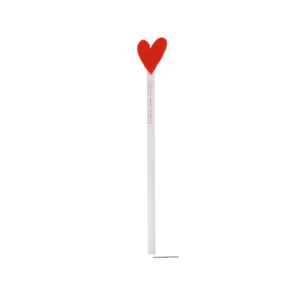 Lápis Follow your Heart